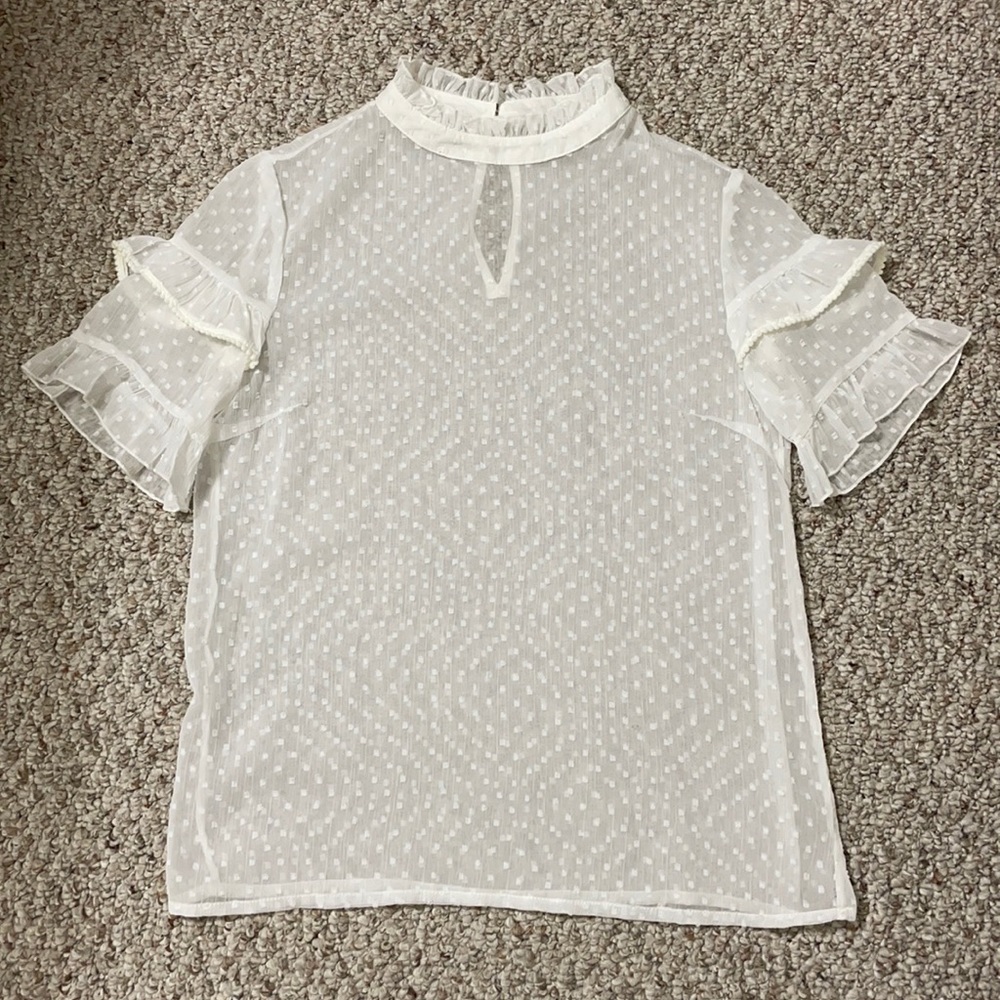 Sheer Blouse